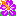 ハイビスカス4