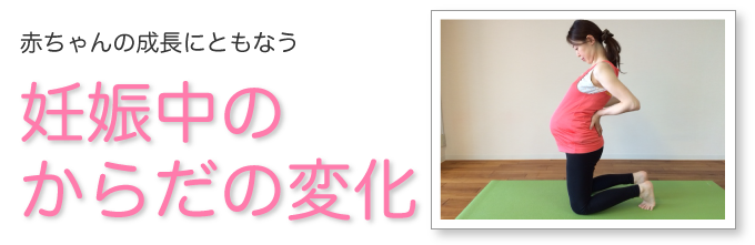 赤ちゃんの成長にともなう妊娠中のからだの変化