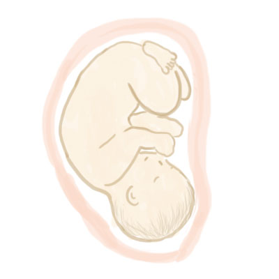 妊娠9ヶ月の赤ちゃん