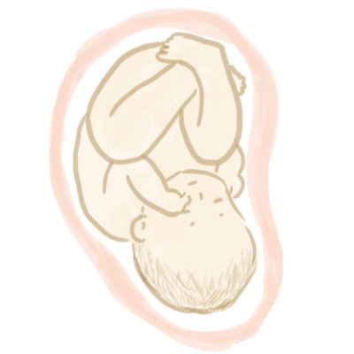 妊娠10ヶ月の赤ちゃん